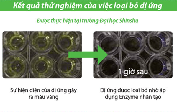 Màng lọc Enzyme chống dị ứng